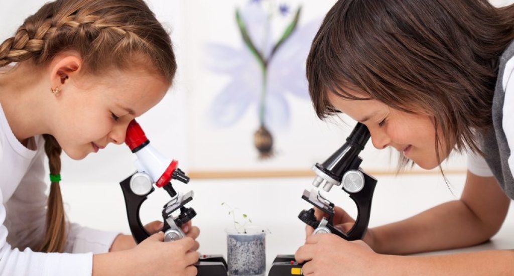 classes_decouverte_01